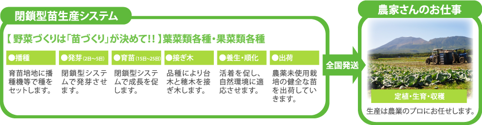 生産プロセス